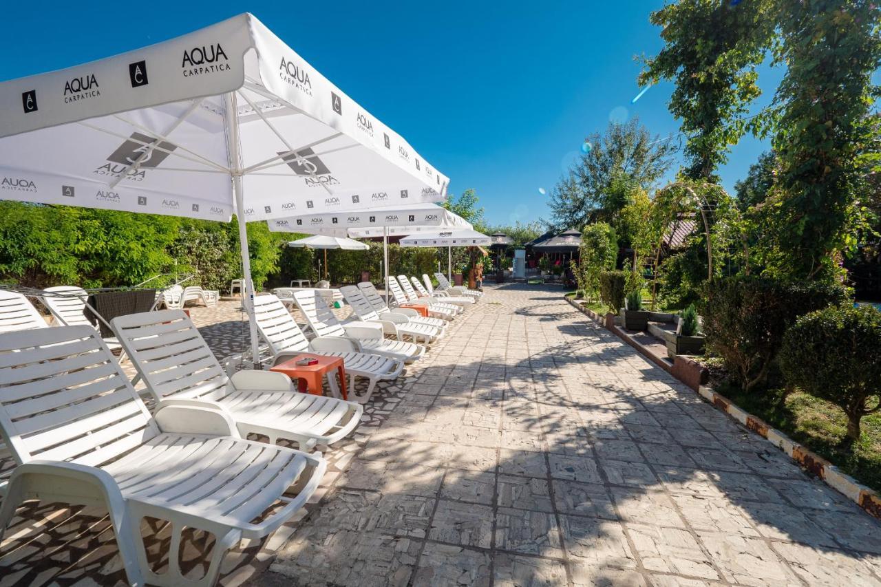 Pension Motanul Galanton Snagov Exterior photo